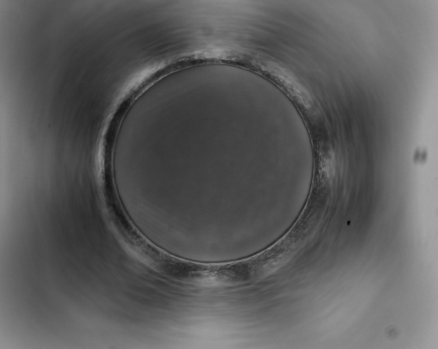 X0000102520678200808221842