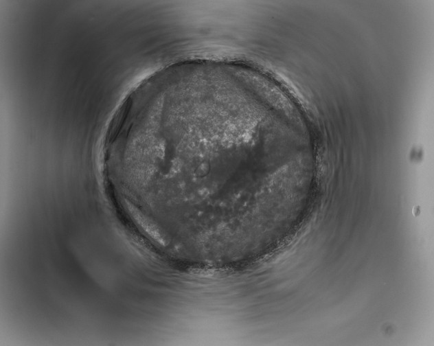 X0000102520679200808221842