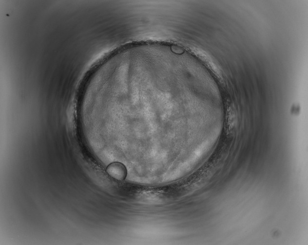 X0000102520680200808221842