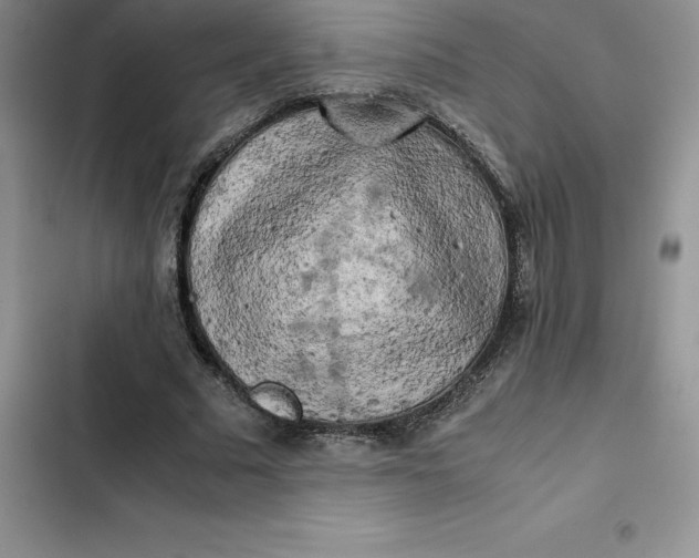 X0000102520681200808221842