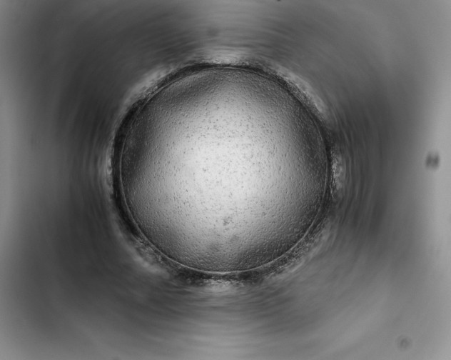 X0000102520682200808221842