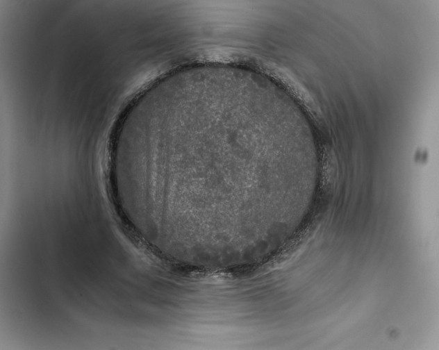 X0000102520683200808221842