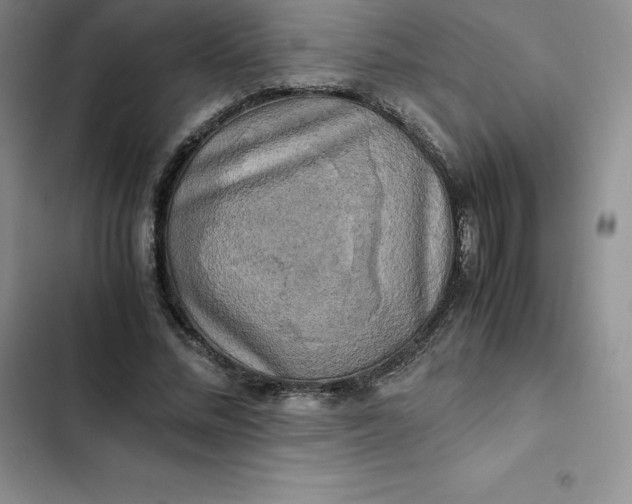 X0000102520684200808221842