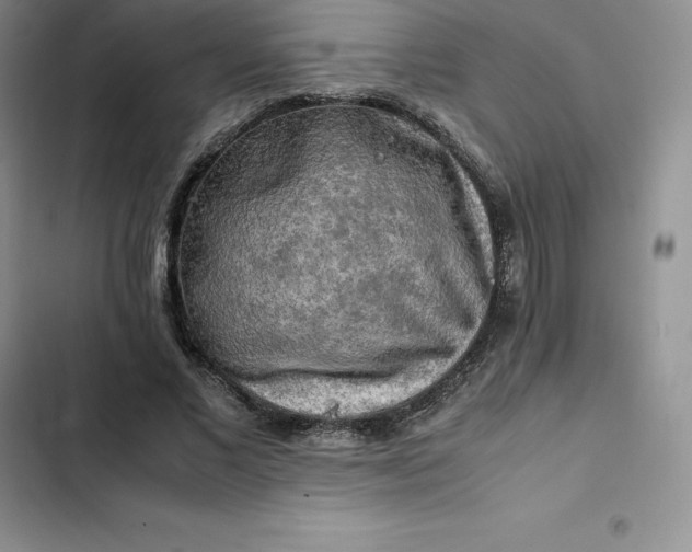 X0000102520685200808221842