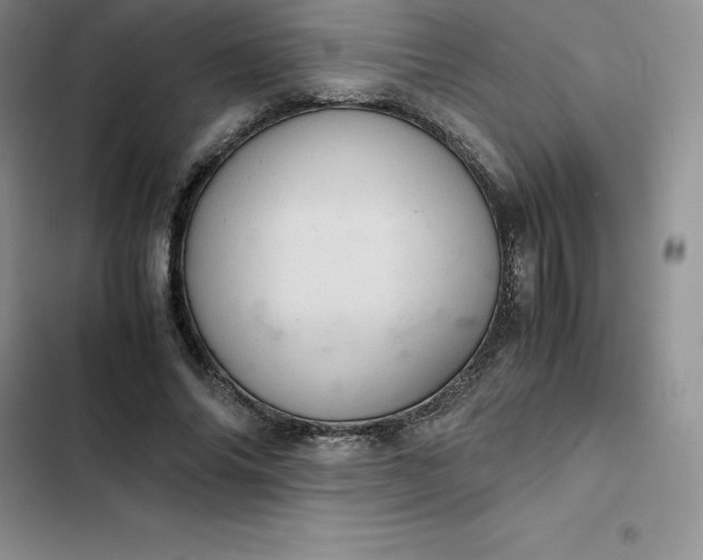 X0000102520686200808221842