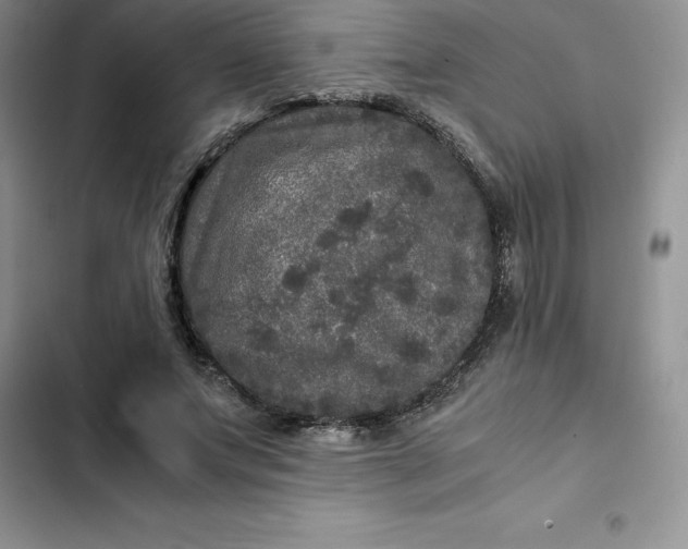 X0000102520687200808221842