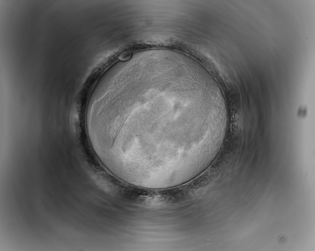 X0000102520688200808221842