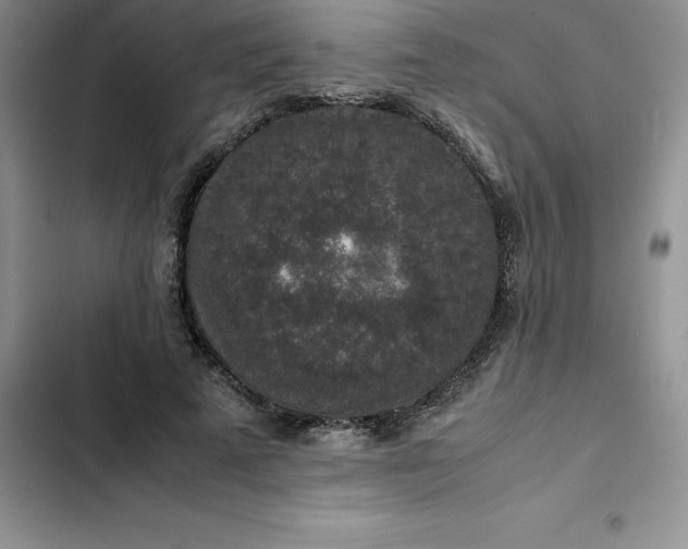 X0000102520689200808221842