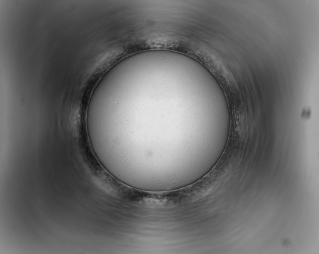 X0000102520690200808221842