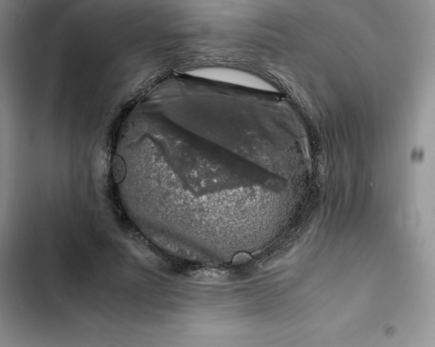 X0000102520691200808221842