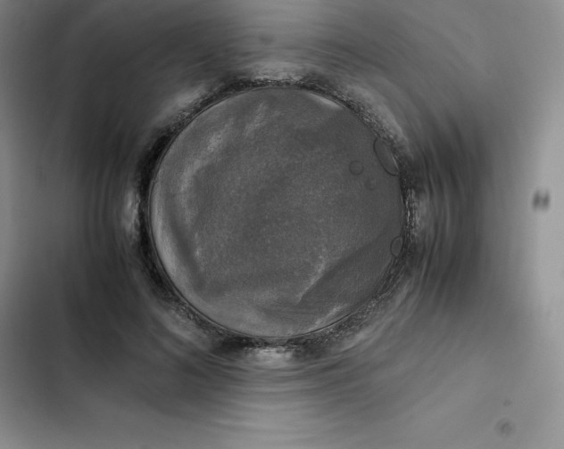 X0000102520692200808221842