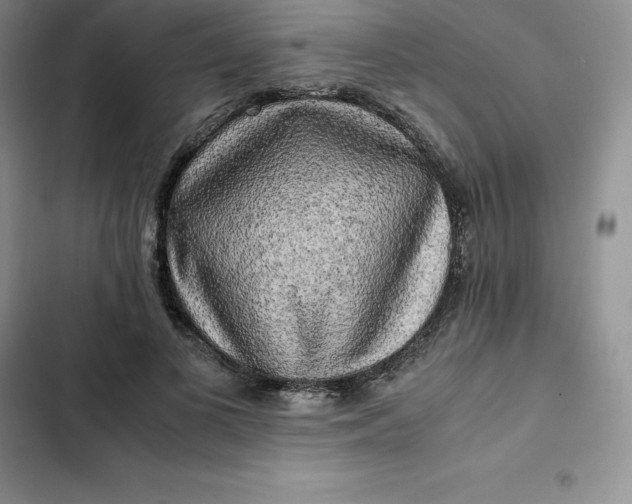 X0000102520693200808221841