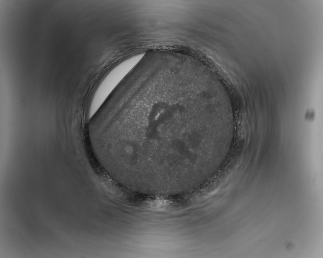 X0000102520695200808221841