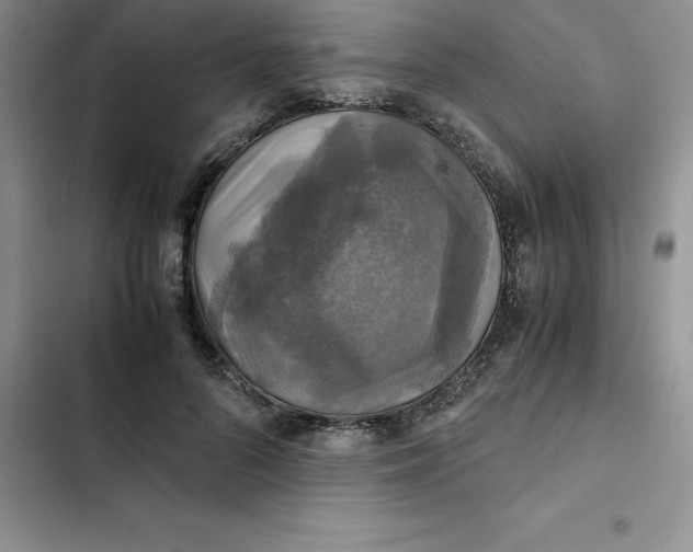 X0000102520696200808221841