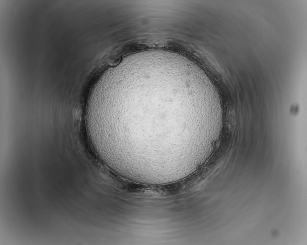 X0000102520697200808221841