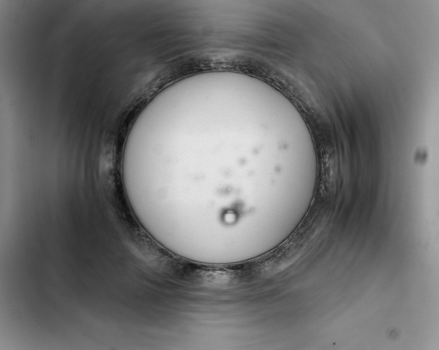 X0000102520698200808221841