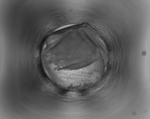 X0000102520699200808221841