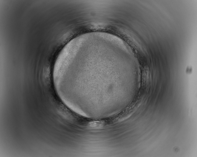 X0000102520700200808221841