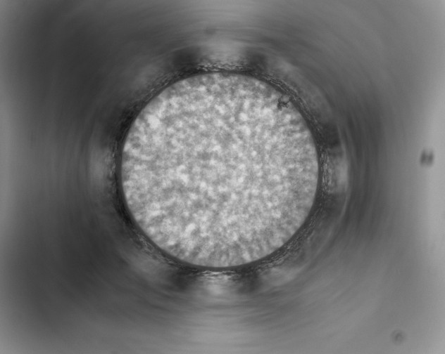 X0000102520701200808221841