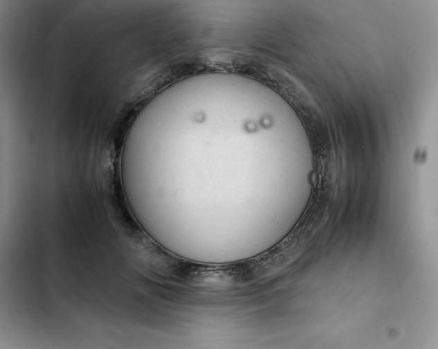 X0000102520702200808221841