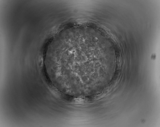 X0000102520703200808221841