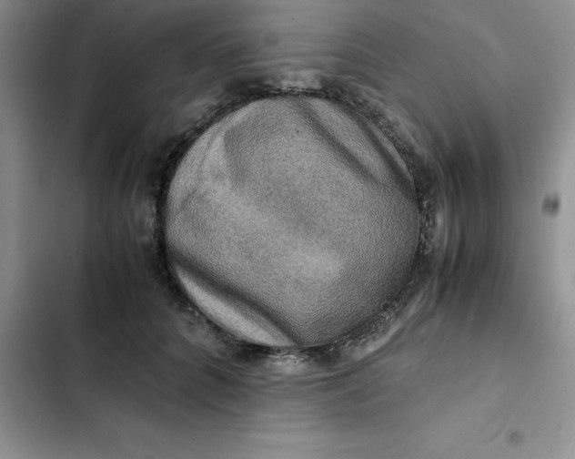 X0000102520704200808221841