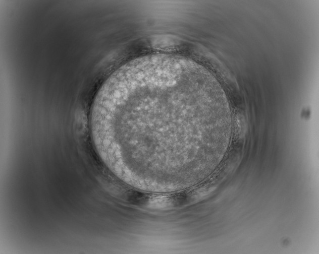 X0000102520705200808221841