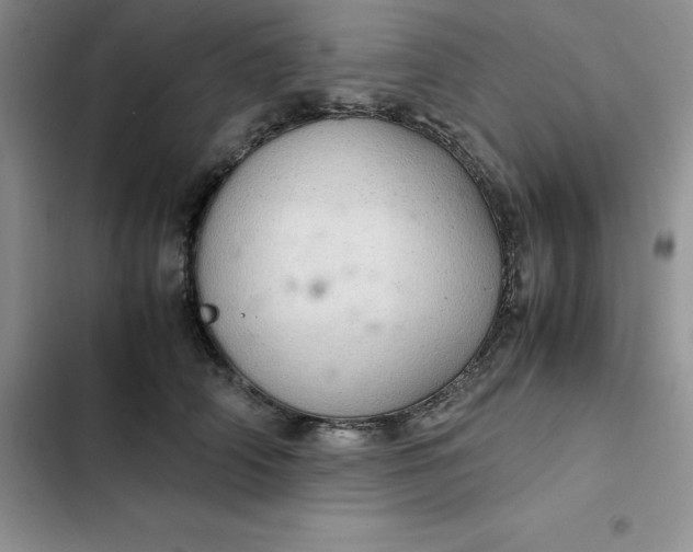 X0000102520706200808221841