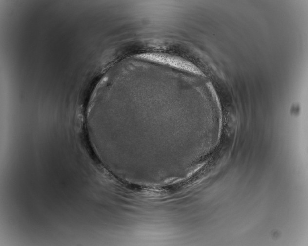 X0000102520707200808221841