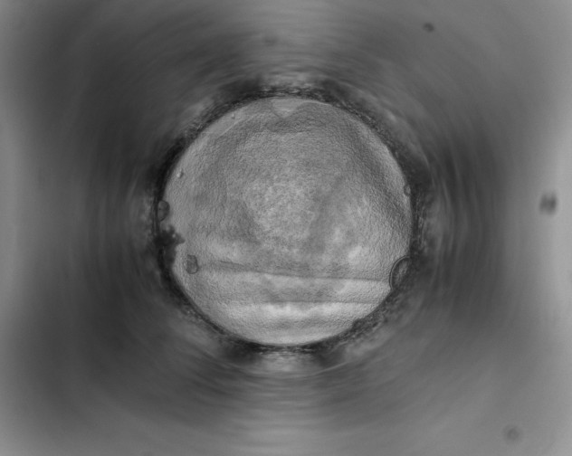 X0000102520708200808221841