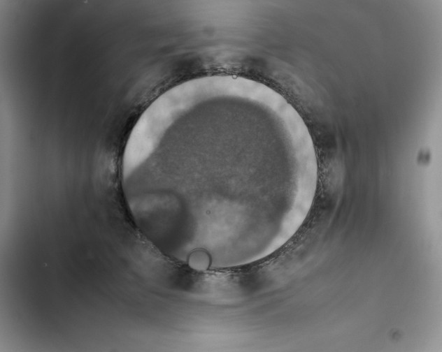 X0000102520709200808221841