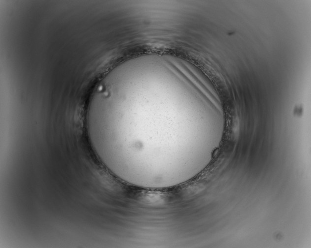 X0000102520710200808221841