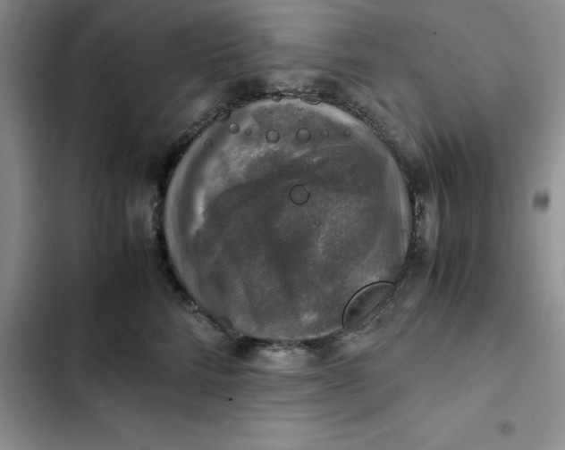 X0000102520712200808221841