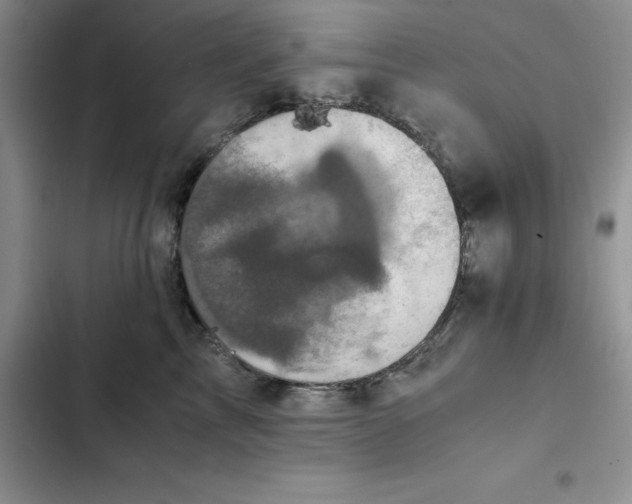 X0000102520713200808221841