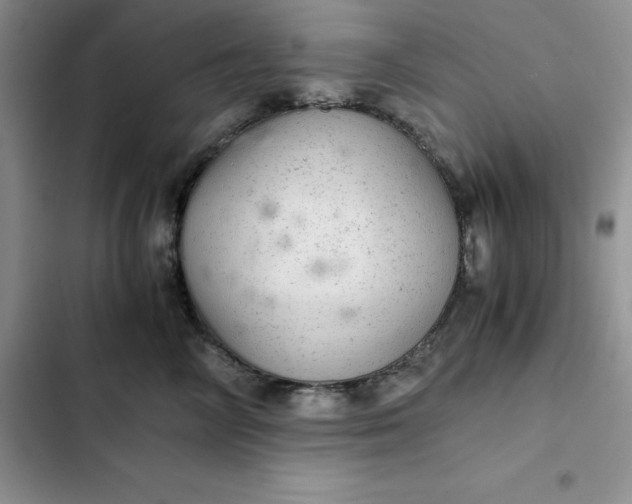 X0000102520714200808221841