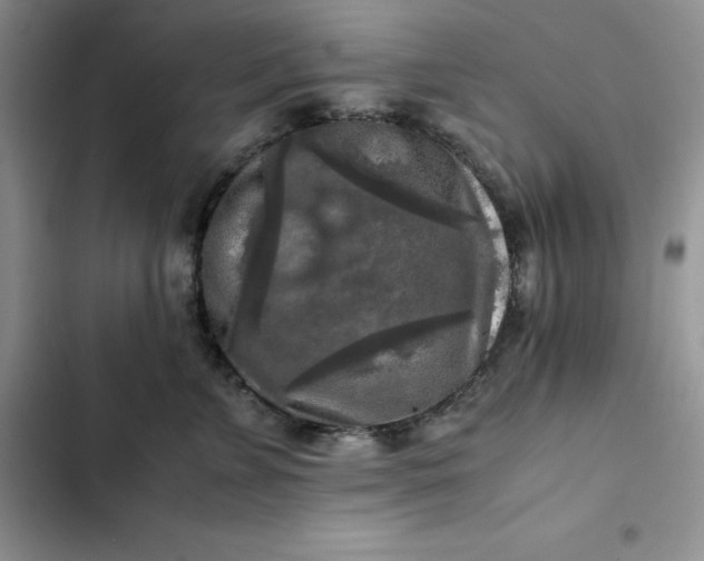 X0000102520715200808221841