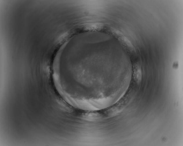 X0000102520716200808221841