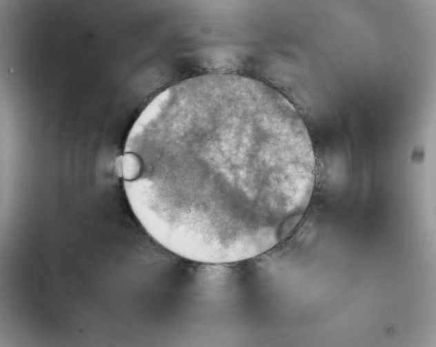 X0000102520717200808221841