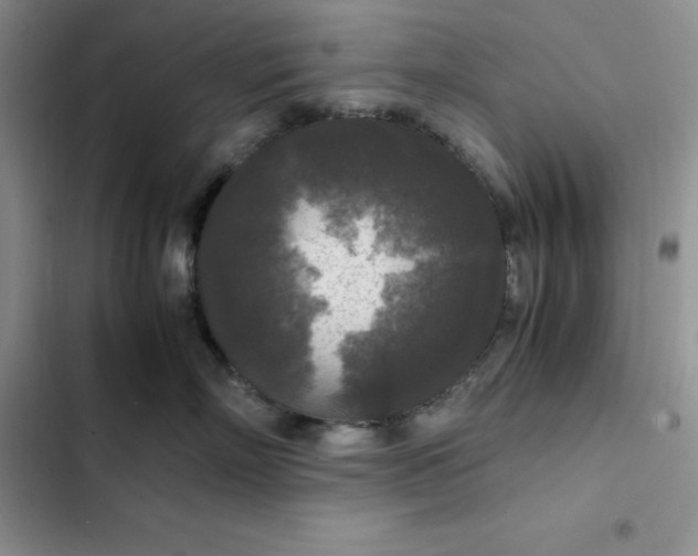 X0000102520718200808221841