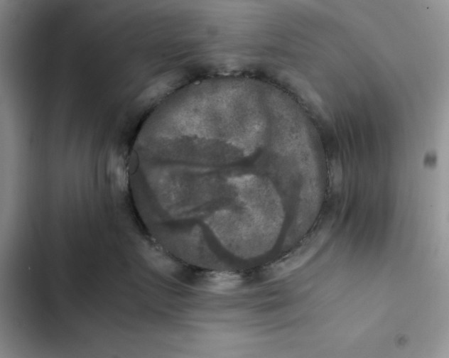 X0000102520719200808221841