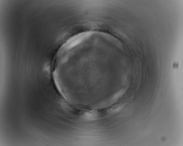 X0000102520720200808221841