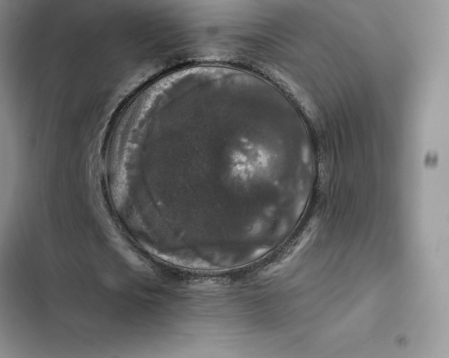 X0000102520721200808221840