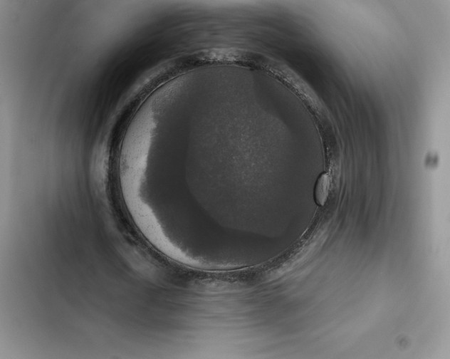 X0000102520722200808221840