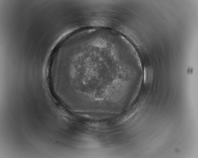 X0000102520723200808221840