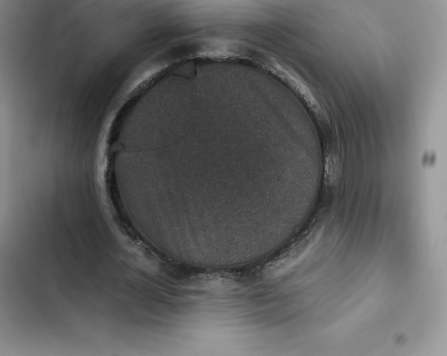 X0000102520724200808221840