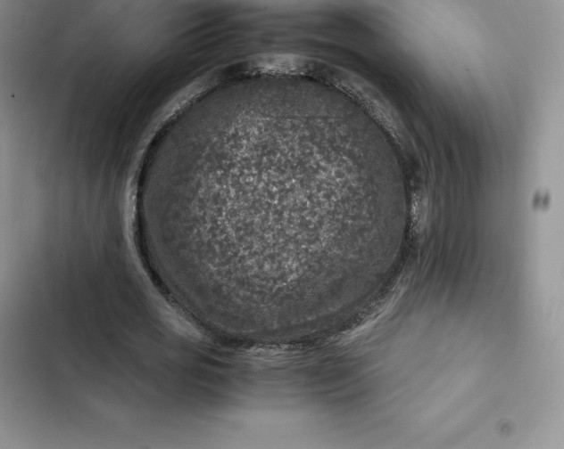 X0000102520725200808221840