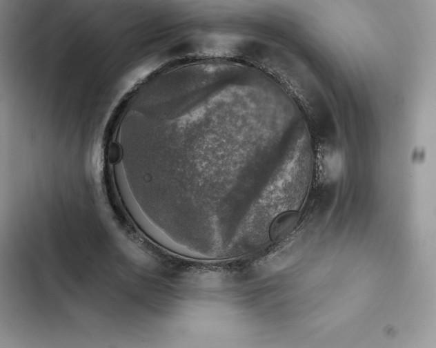 X0000102520726200808221840