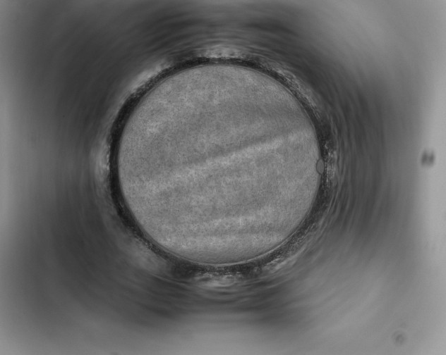 X0000102520727200808221841