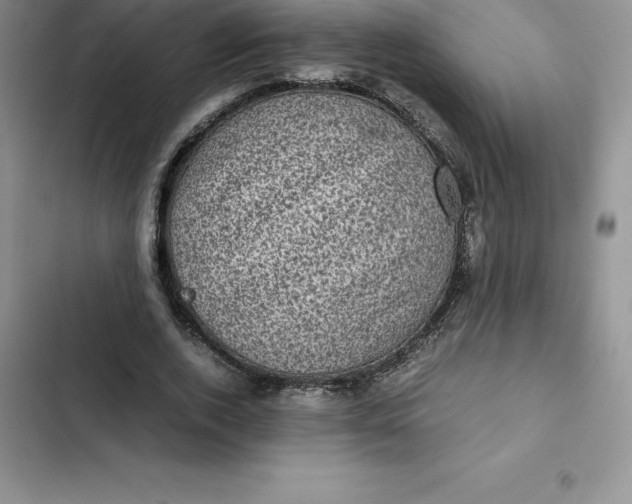 X0000102520728200808221841