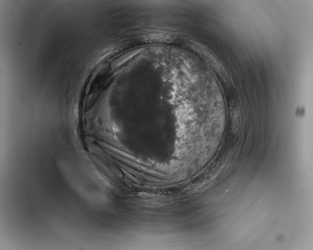 X0000102520729200808221841